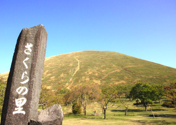 厺R